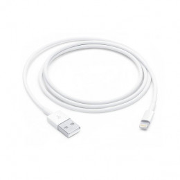 Кабель Apple Lightning - USB (1 m)